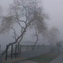 fog Discord server icon