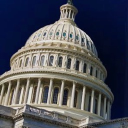 THE POLITICAL 🕊 Discord server icon