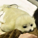 MAGGOT LAND Discord server icon