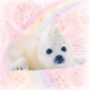SEALVILLE 𝜗ৎ