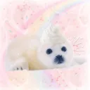 SEALVILLE 𝜗ৎ