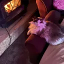 Soft Vibes
