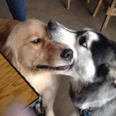 Dreamy Den Cafe Discord server icon