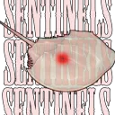 Sentinels Hub
