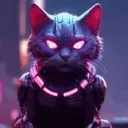 CyberCats рекрутерка