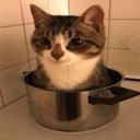 Havoc Discord server icon