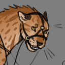 The Stepard Registry