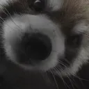 huhuhhuuhuhheheheheheheeh