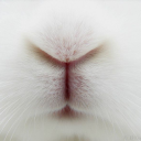 ZERO Discord server icon