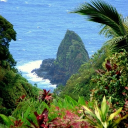 PMD: Sunlit Archipelago 🌄 Discord server icon