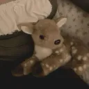 [ : 🦴 - ʟᴏᴠᴇ ʟɪғᴇ ‧˚꒰🍮⋆]