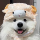 bark