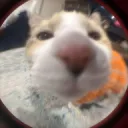 tsuki's waiting room