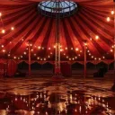 The Circus