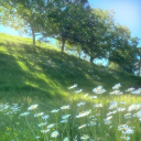 Mikus' (not so) Serene Garden | DJ2L Discord server icon