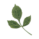 ꒷꒦︶  THE RIVER   17 + Discord server icon