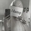 /damp