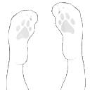 𝖭𝗈ડ𝗍ɑᥣ𝗀ꪱᜒɑ  ♡  𝐓ɦ𝖾 𝖼υ𝗍𝖾 𝗍𝗋𝗂αᑯ Discord server icon