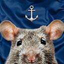 The Rat Navy