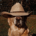 Blue’s Community and Promotions Discord server icon