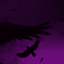 ☾ Ravencrest University ☾ Discord server icon
