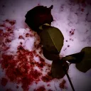 🩸.⭑Red Forest ‧₊˚🌑‧₊˚
