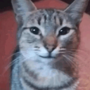 Iris 🩷's Atm Discord server icon