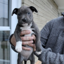 Daddy Sam ✞'s server Discord server icon