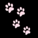 ﹒⌗﹒ ραω ραᥣα𝖼𝖾 ౨ৎ˚₊‧ Discord server icon