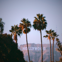 Pacific Heights Society Discord server icon