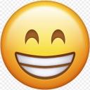 Smile emoji Wplace Alliance Projects
