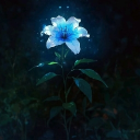 Ivvy Discord server icon