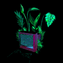 𝚂𝚝𝚊𝚛'𝚣 𝙼𝚊𝚝𝚛𝚒𝚡 Discord server icon