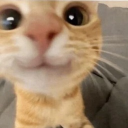 Homo Shenanigans Discord server icon