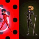 The Miraculers
