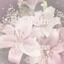 BLOOMING BLOSSOMS ˚˖𓍢ִ໋❀