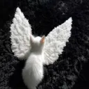 @deep chat | ᴄᴏᴍᴍᴜɴɪᴛʏ 𝗣𝗟