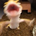 Looking!! 🩷 Discord server icon