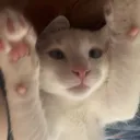Be my friend.