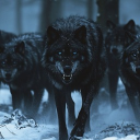 Wσʅʋҽʂ σϝ ƚԋҽ Dαɾƙ Discord server icon