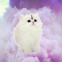KITTY CORNER! Discord server icon