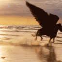 Percy Jackson  :  TRAITORS  ˚ ⋆｡˚🔮 Discord server icon