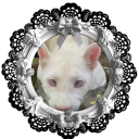 ✧ Lucinistic Claws ✧ Discord server icon