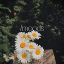 /moods's icon
