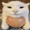 JapuszkoZone