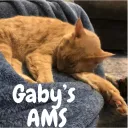Gaby’s Adopt Me Server 🐾