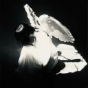 server profile pic