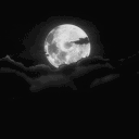 𝙼𝚒𝚍𝚗𝚒𝚐𝚑𝚝 𝙻𝚘𝚞𝚗𝚐𝚎 . • 𝙲𝚑𝚒𝚕𝚕 • 𝚅𝙲 • 𝙲𝚑𝚊𝚝 Discord server icon