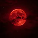 Lunar Paradise™