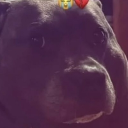 WeLuvBckWoods Discord server icon